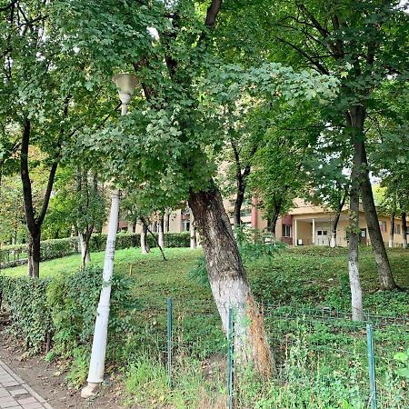 Luand Apartament 이아시 외부 사진